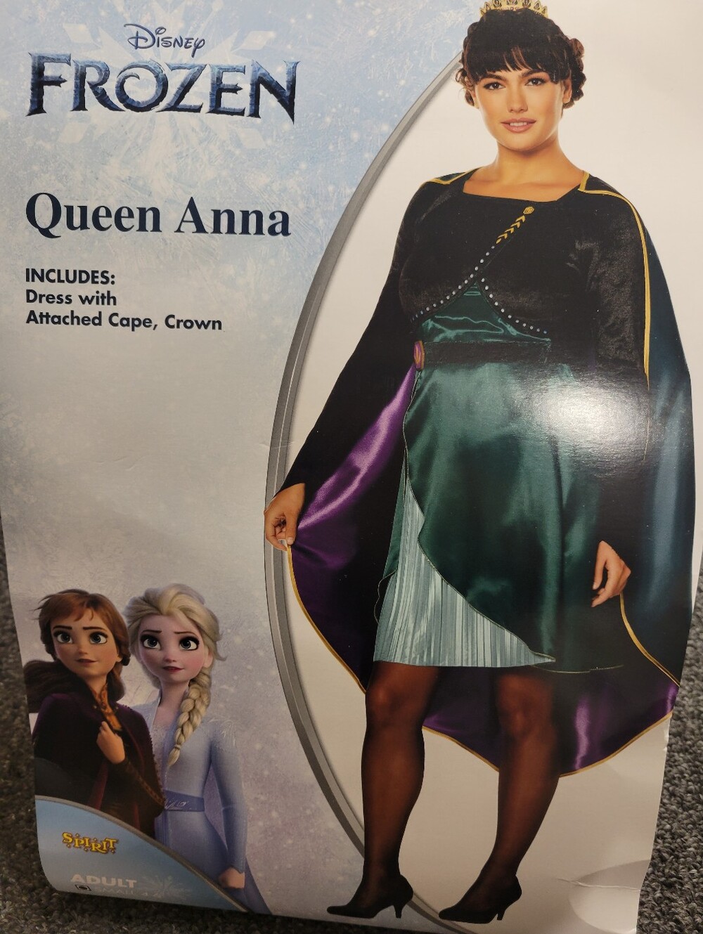 Disney Frozen Queen Anna Adult Costume